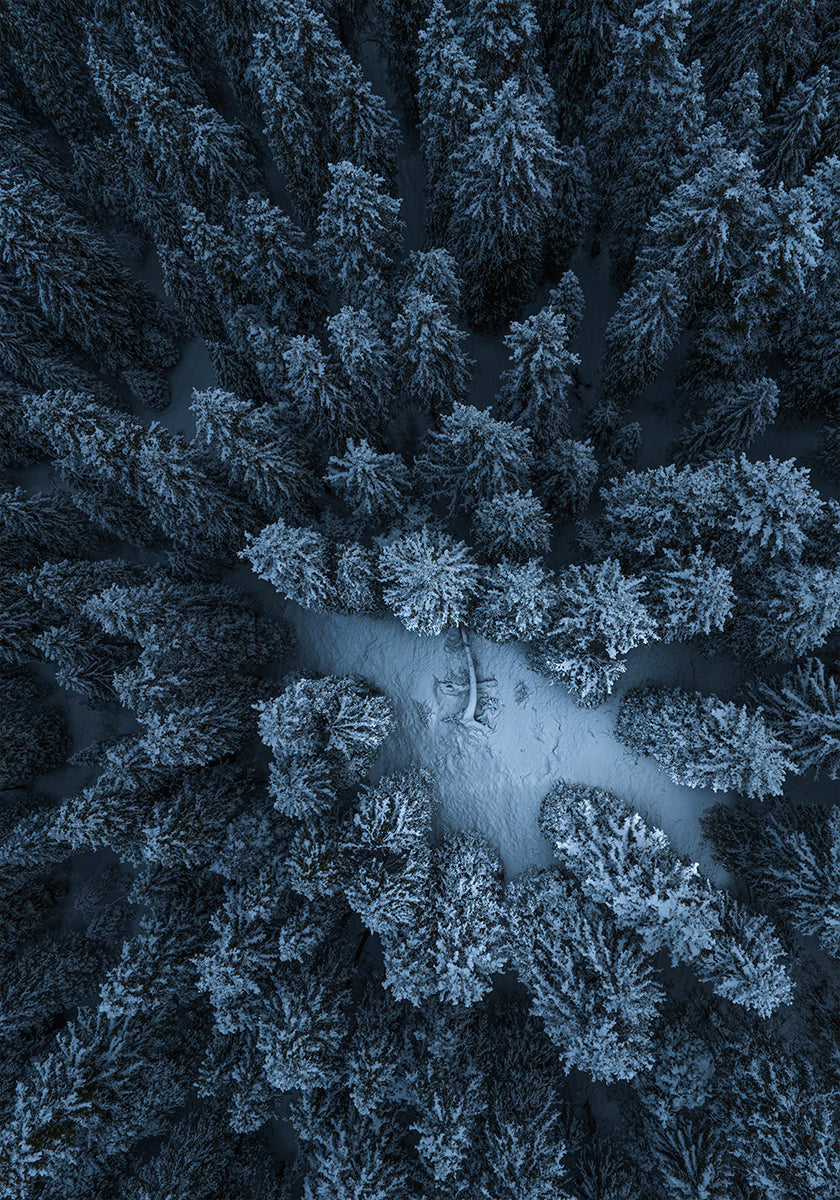 Textura lesa plakát