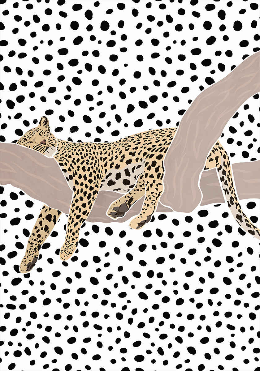 Plakát Leopard Spící Puntíky