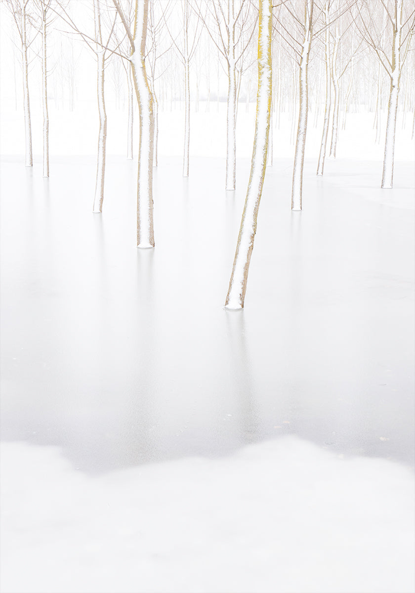 Zimní reflexe plakát