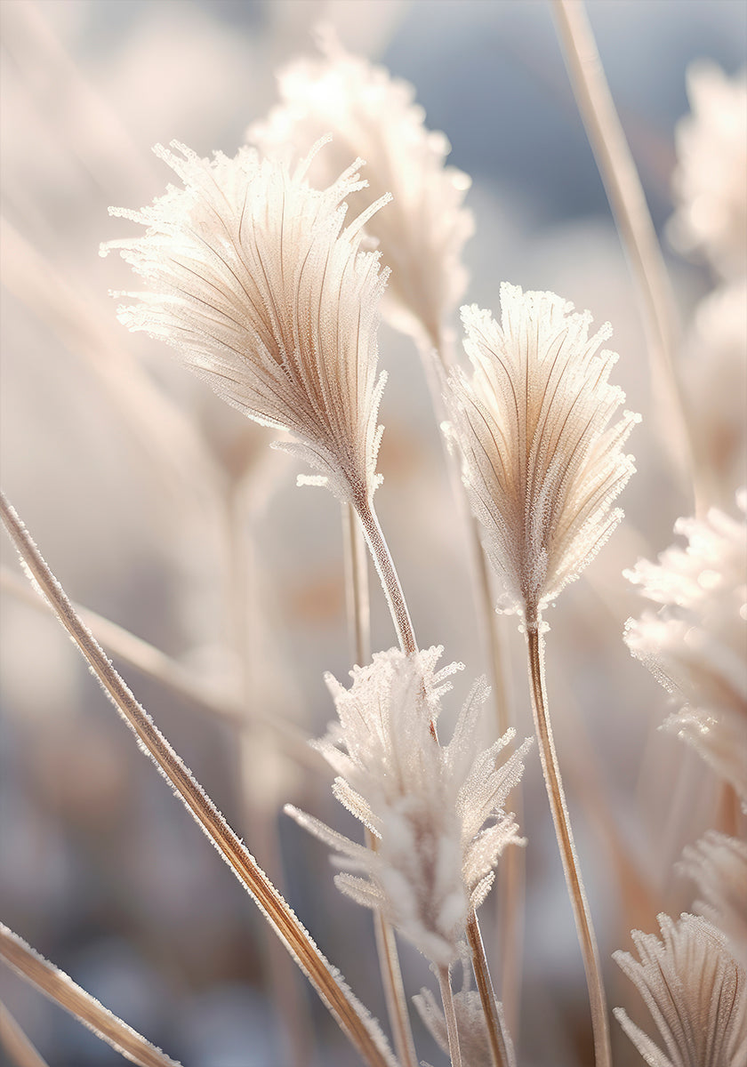 Plakát matné elegance