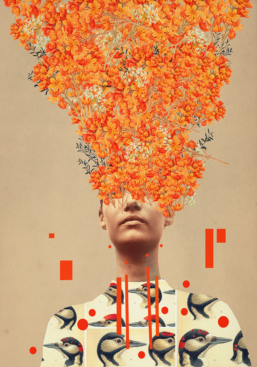 Ptačí let Na Podzim Plakát