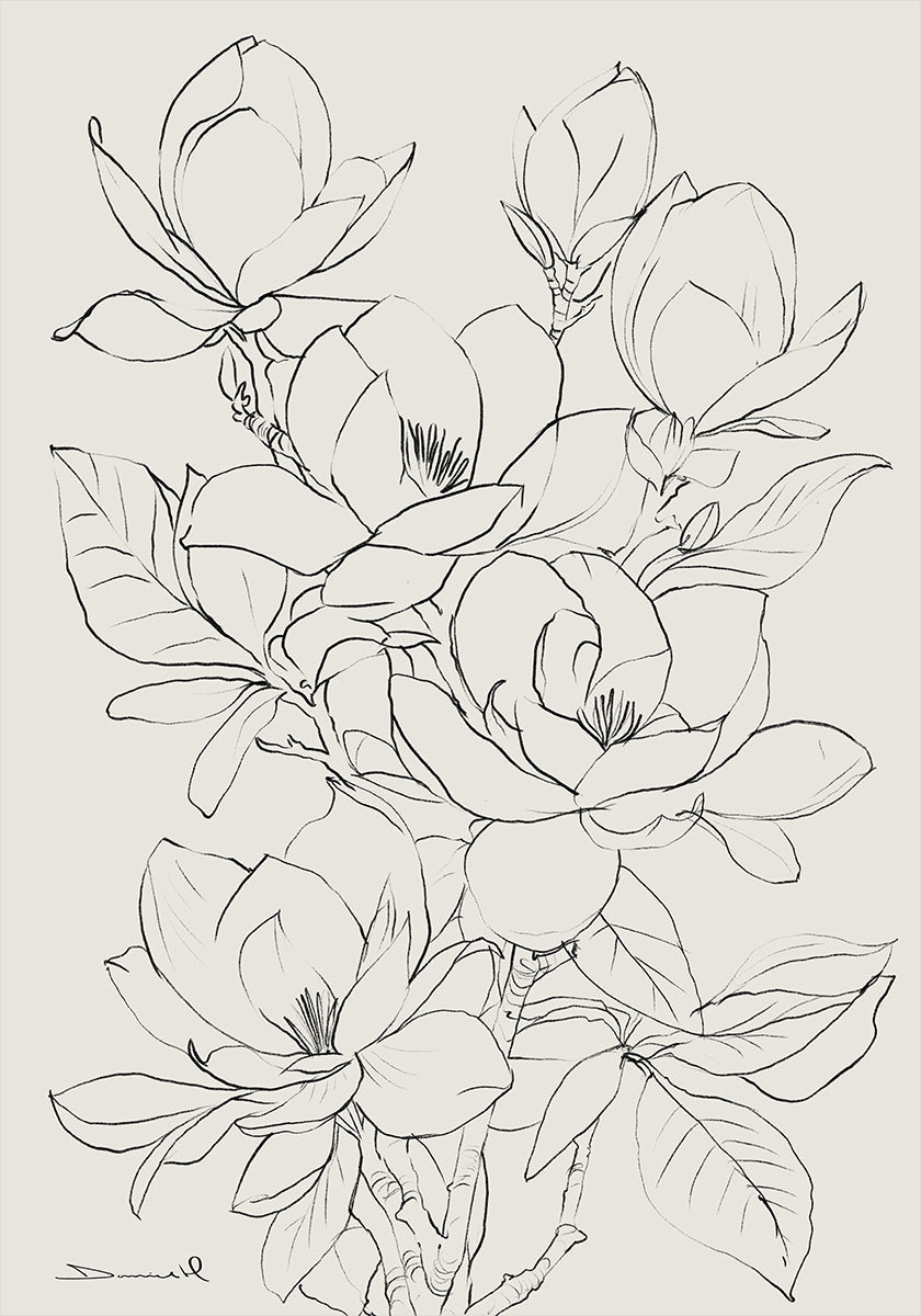 Strom Magnolie
