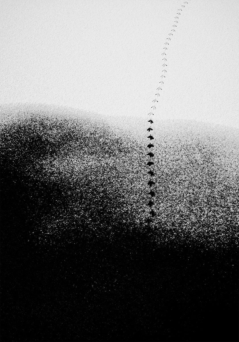 Plakát Stopy ve sněhu