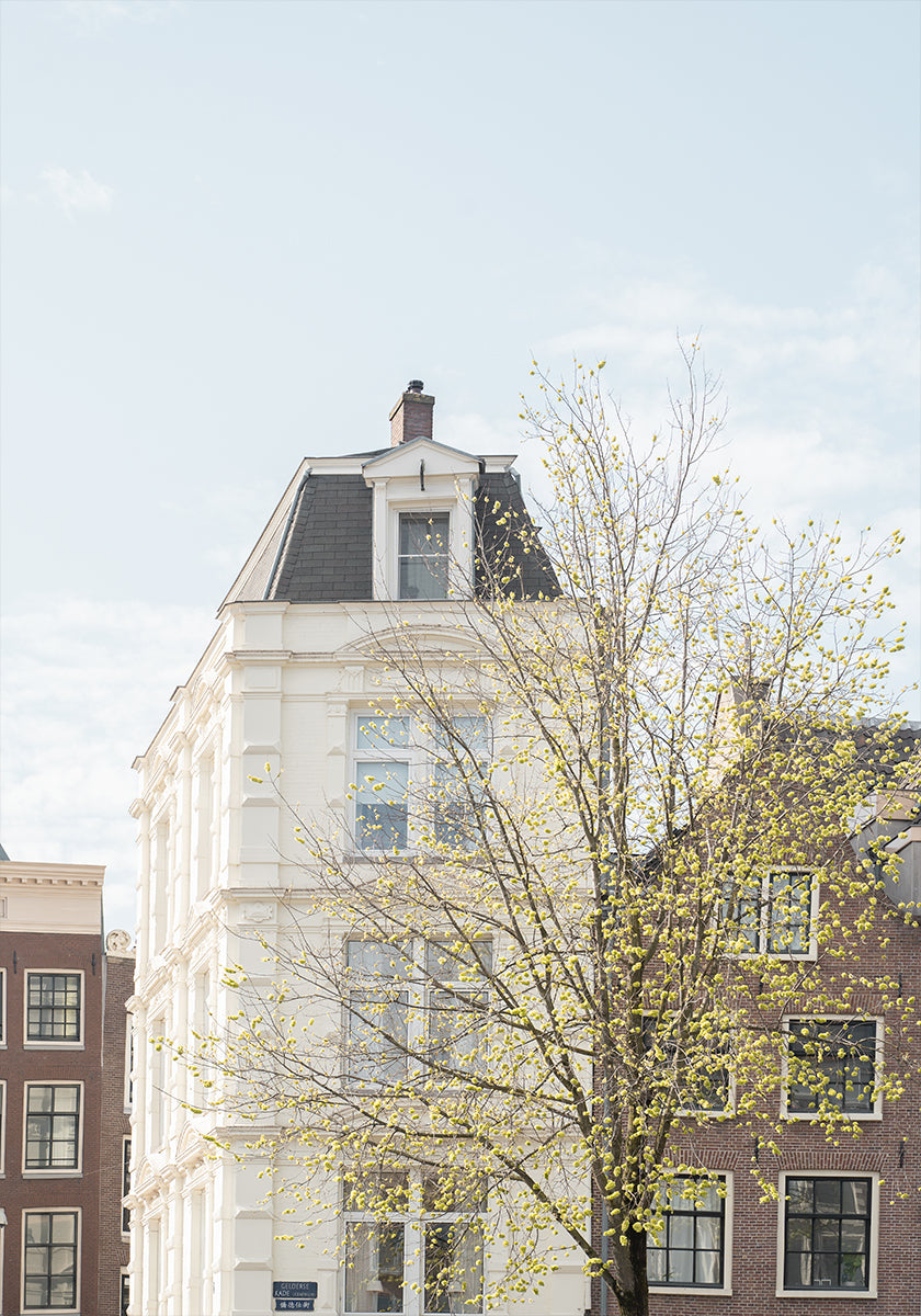 Spring In Amsterdam Plakat