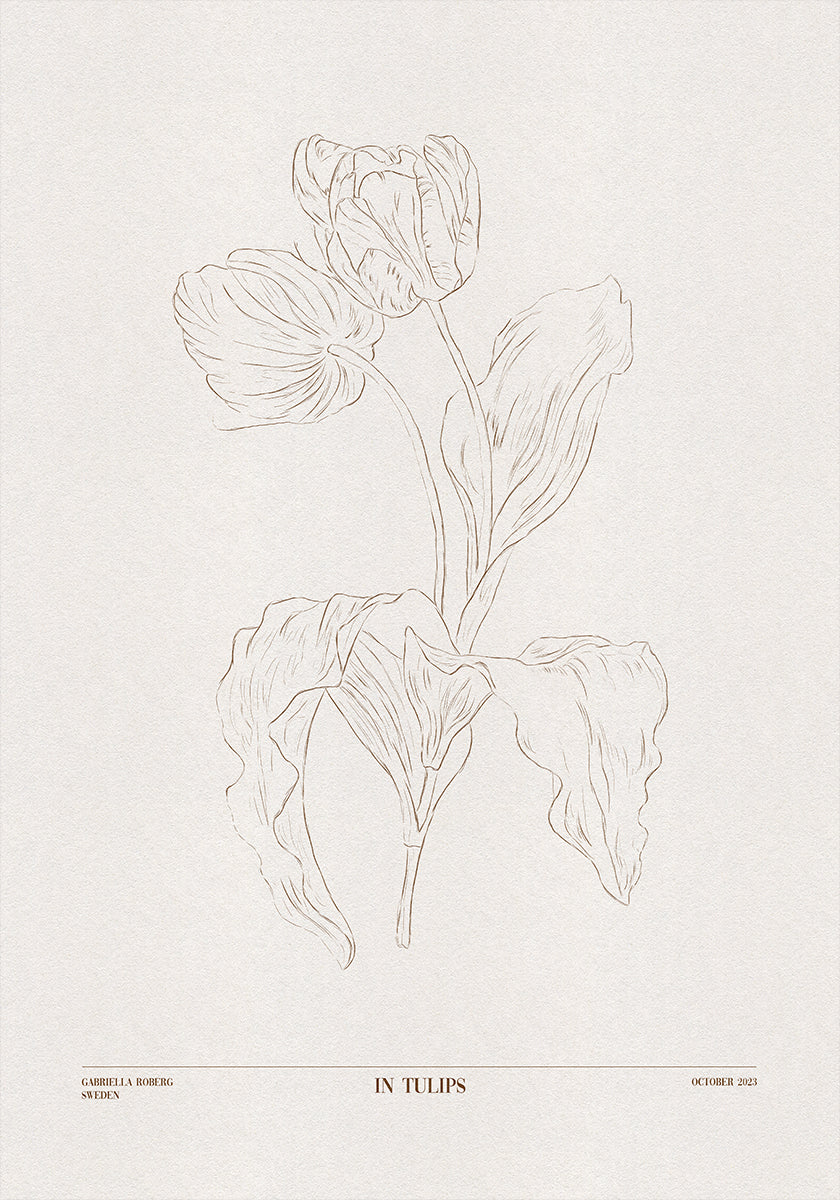 V tulipánech (hnědá)