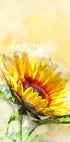Blossom Sunny Plakat - Posterbox