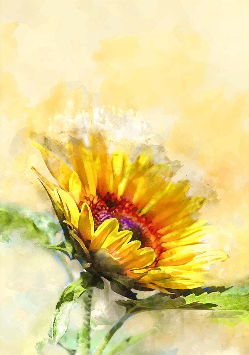 Blossom Sunny Plakat - Posterbox