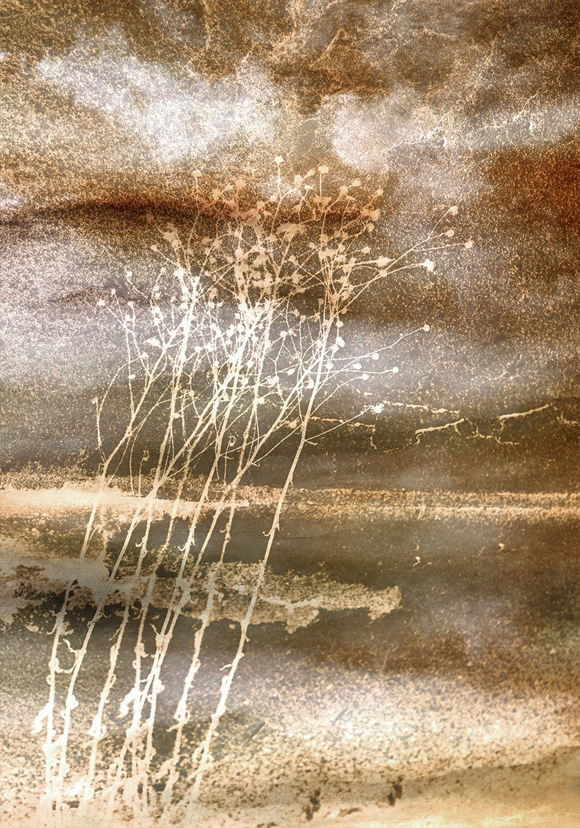 Plakát Sušené sny