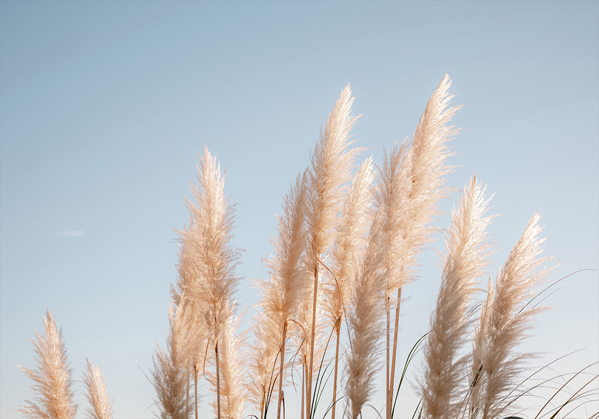 Winter in Portugal Plakat