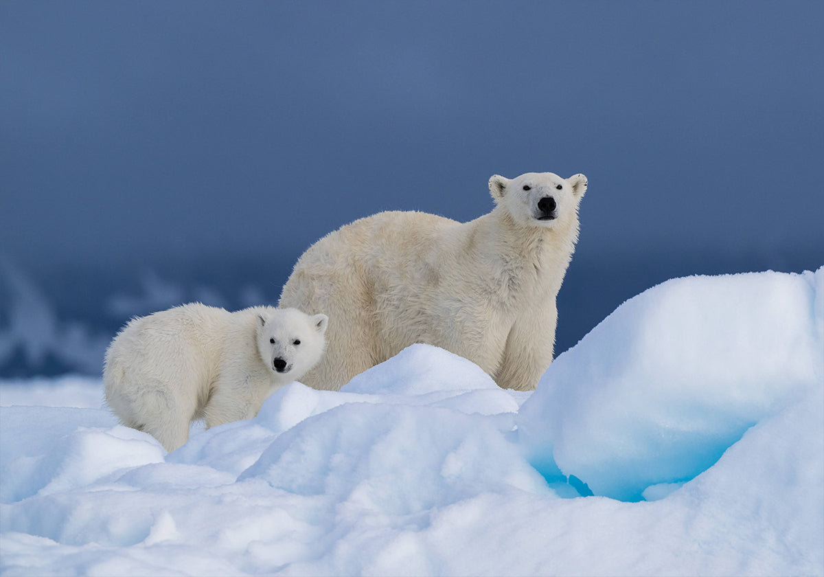 Plakát máma a dítě