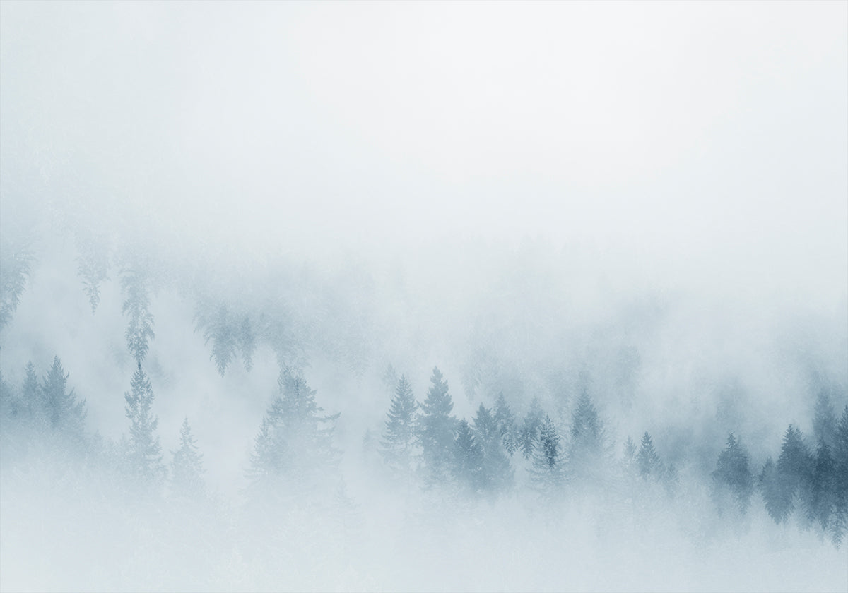 Plakát Misty Pines