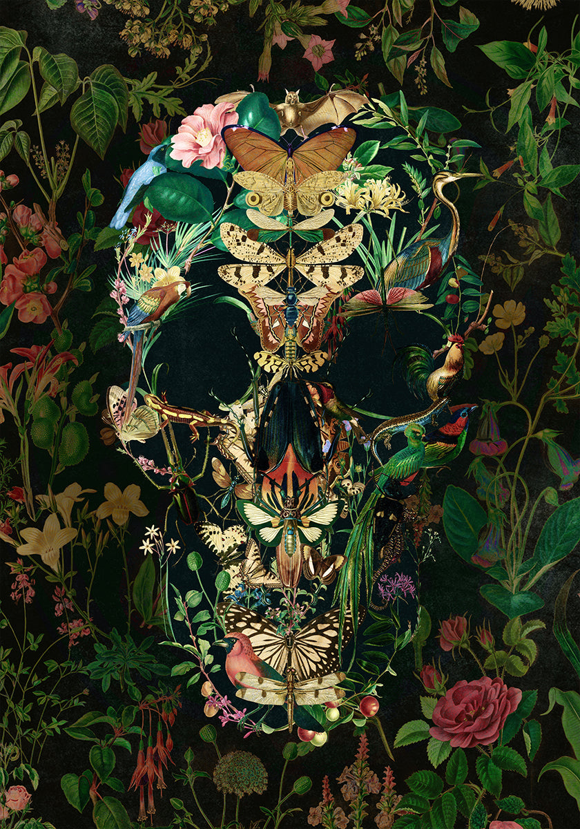 Plakát Papillon Skull
