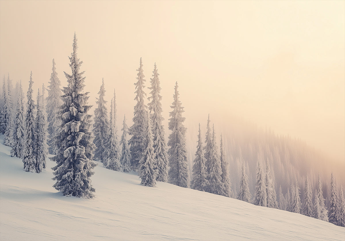 Zimní krajina zasněžené borovice plakát
