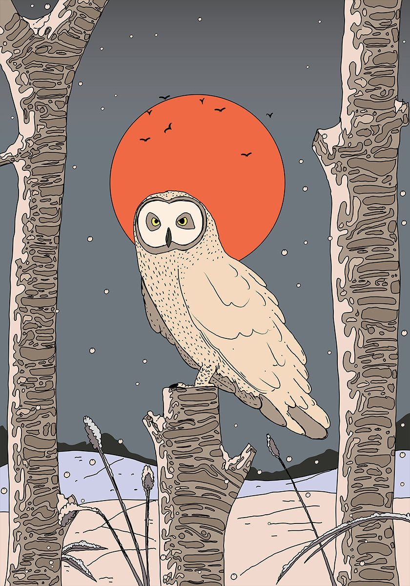 Vintage plakát sova