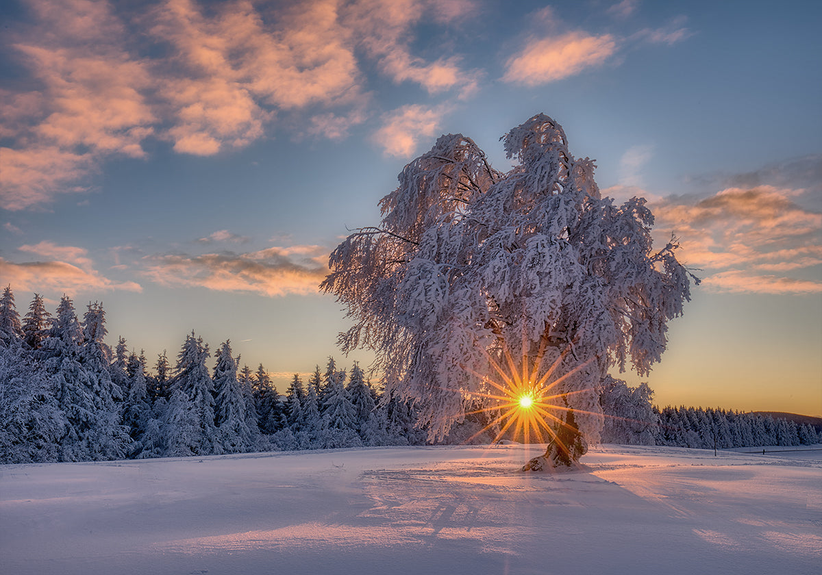 Plakát ranní hvězdy