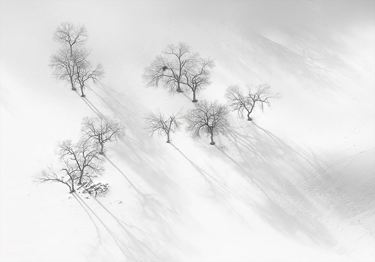 Zimní sen - nehybný balet Plakát