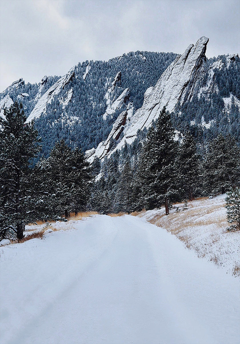 Plakát Frozen Flatiron