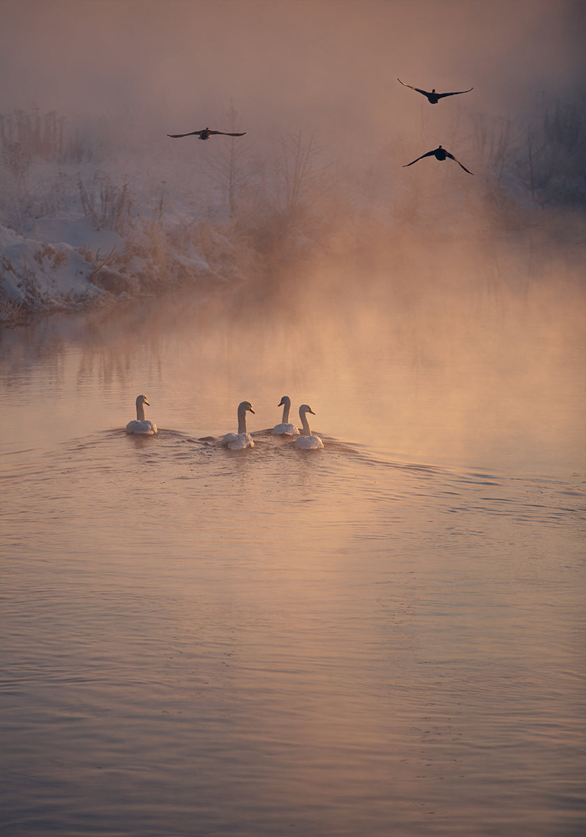 Plakát Kam mlha nedosáhla