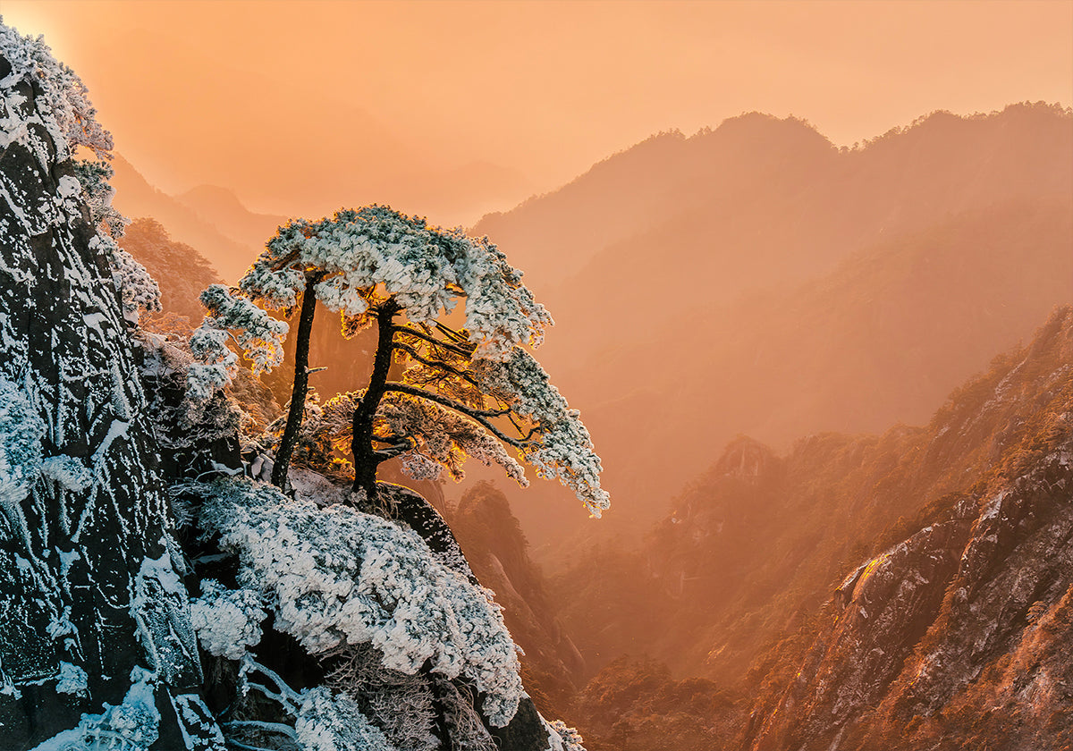 Odolnost na hraně plakátu