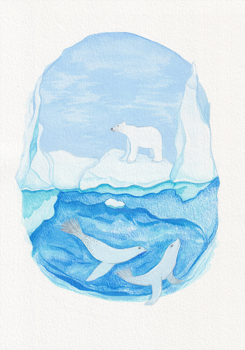 Arktický život - zamrzlá moře - plakát ledního medvěda a tuleňů