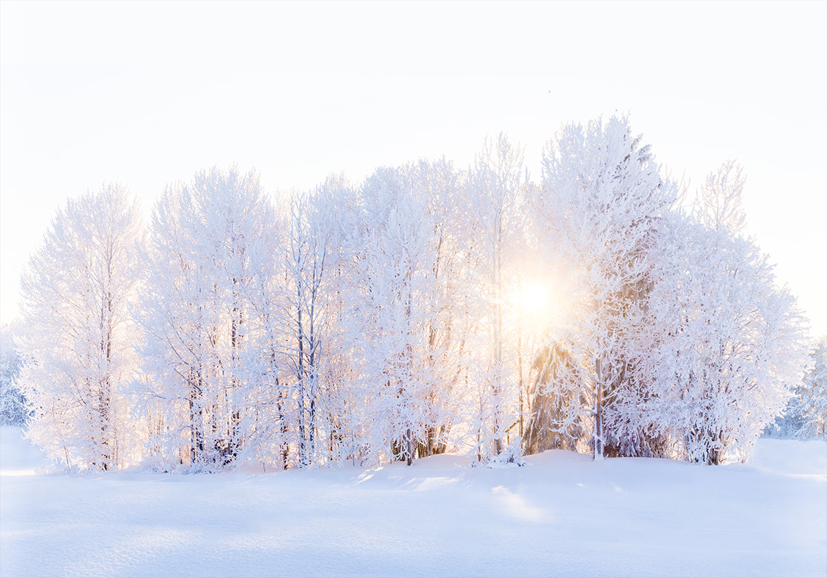 Světlo se vrací Plakát