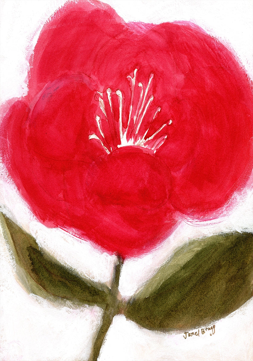 Květinové V červené pro Cierra Plakát