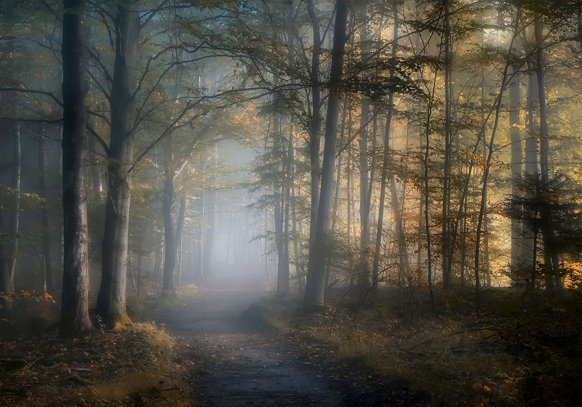 podzimní symfonie plakát