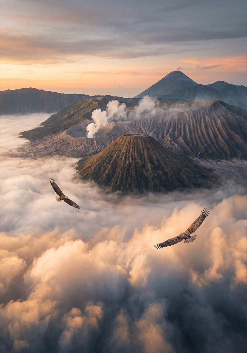 Eagles Fly Free (NEW) - Posterbox