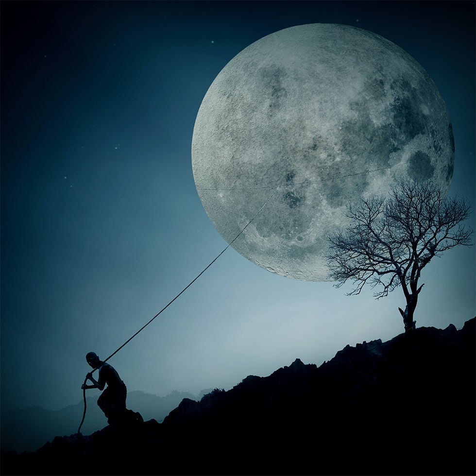 plakát Dreamer