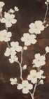 White Cherry Blossom Brown Background (NEW) - Posterbox