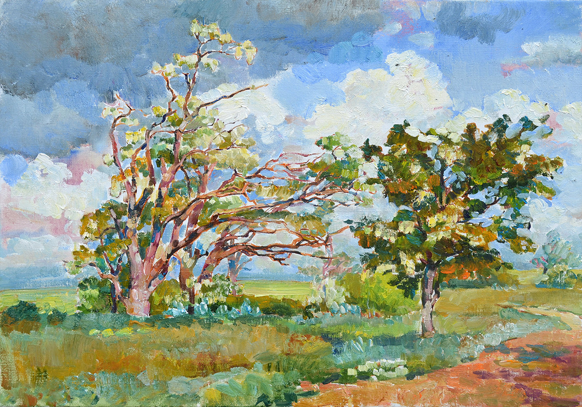 Acacia is blooming (NEW) - Posterbox