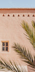 Palm leaves and a clay building in Morocco (NEW) - Posterbox