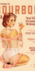 Babes of Bourbon Vol 9 Vintage Whiskey Pinup (NEW) - Posterbox