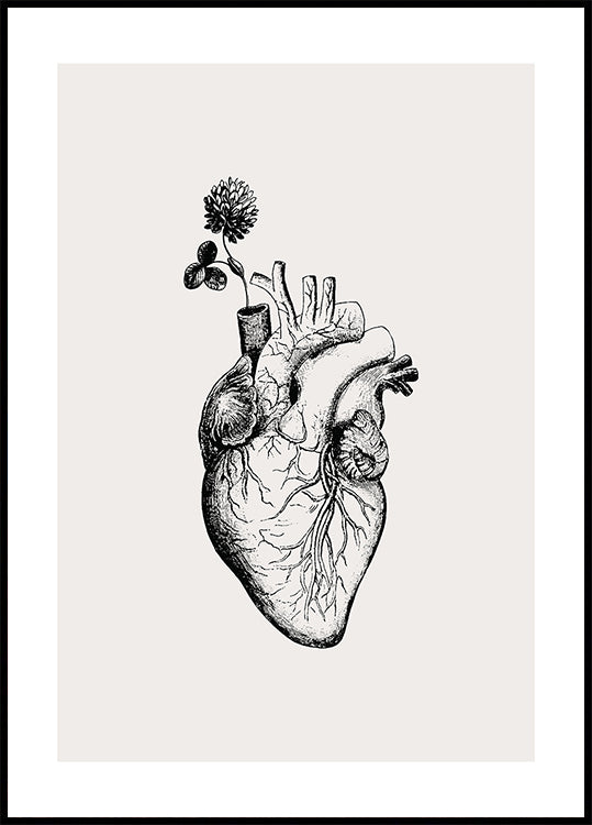 Heart Bloom (NOVINKA)