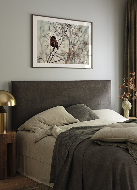 Podívejte se na mě! Plakát