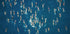 Swimming Wall Art Plakat - Posterbox.dk