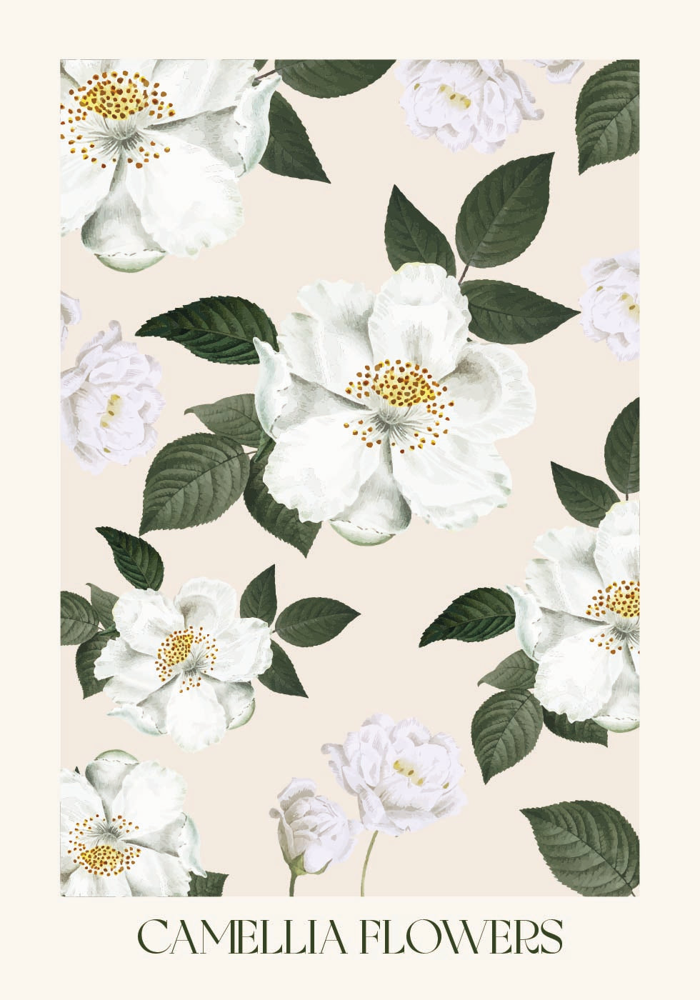 Camellia Flowers Plakat - Posterbox.dk