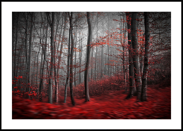 Plakát Krvavá řeka