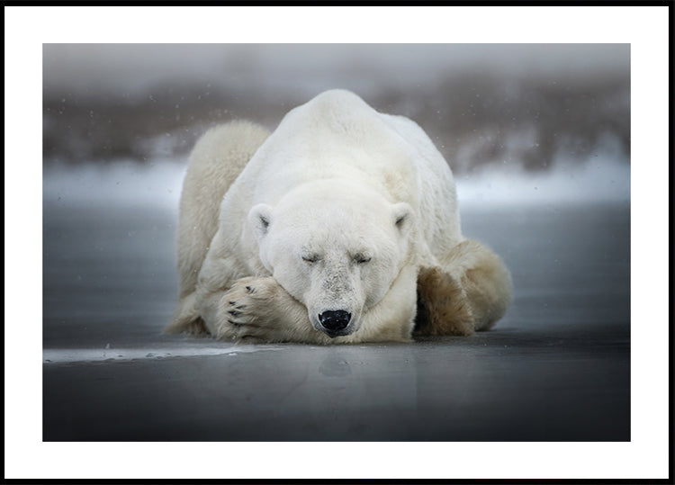 Plakát Snění sám