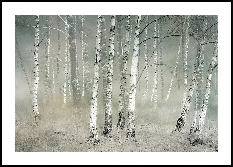 Plakát ranní ticho