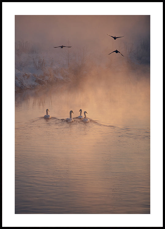 Plakát Kam mlha nedosáhla