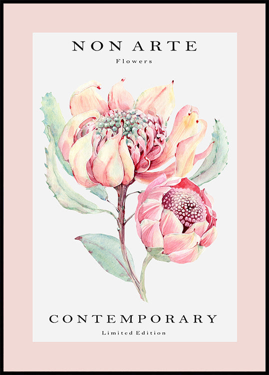 Non Arte růže květ plakát
