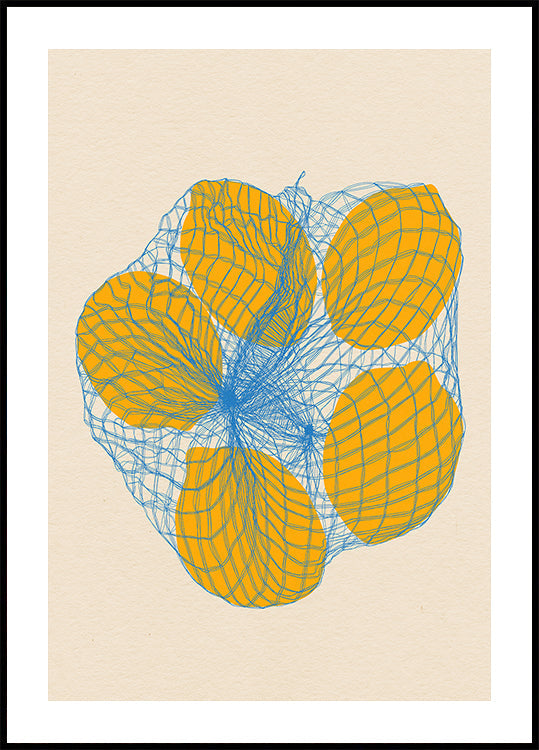 Pět Citronů V Síťovém Sáčku Plakát