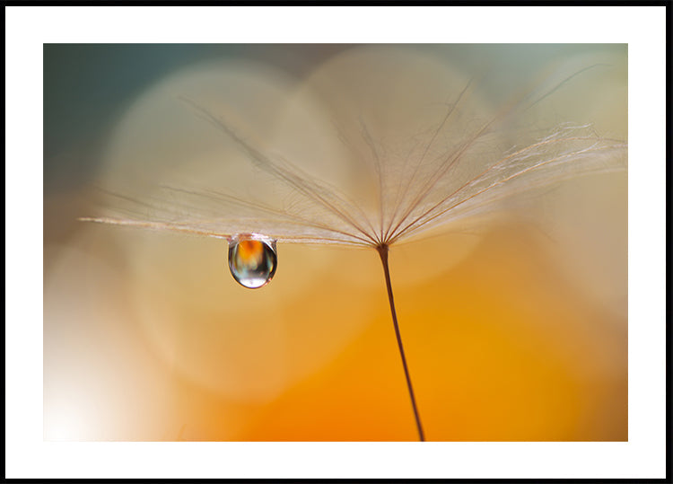 Malá noční hudba...