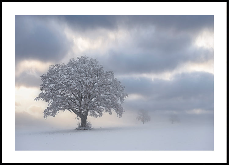 Chladné ráno plakát