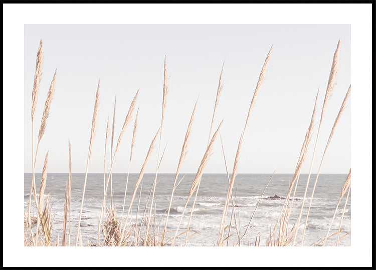 Plakát Beach_Vass_002