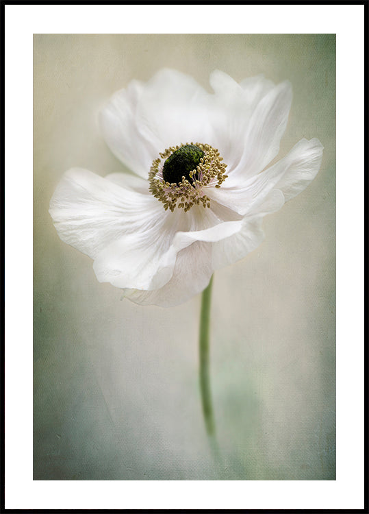 Single White