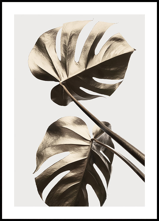 Plakát Monstera Gold 08