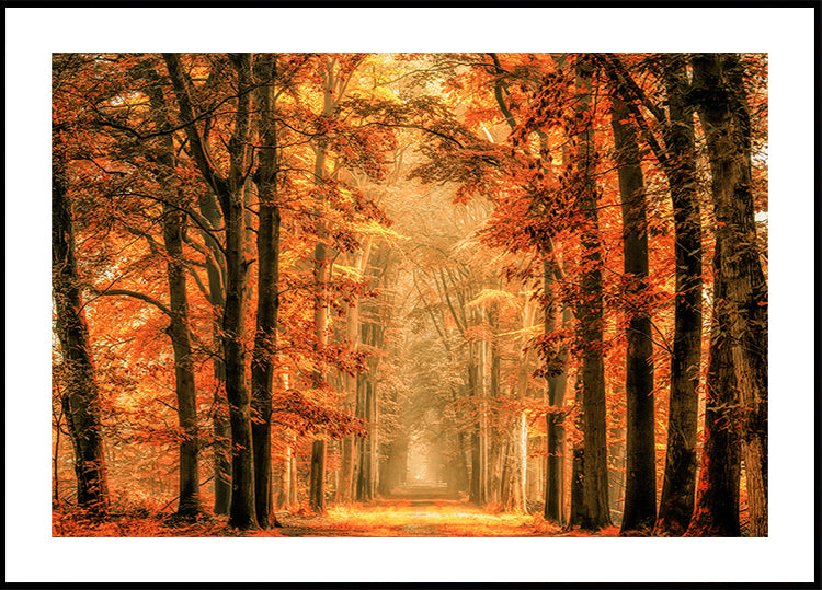 Opusťte plakát portálu