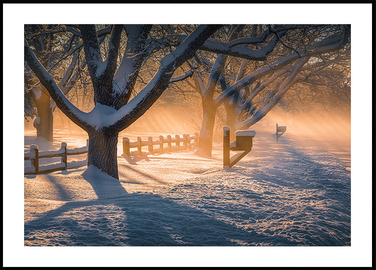 Plakát Po sněhové bouři